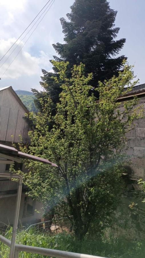 Arman Guest House Dilidżan Zewnętrze zdjęcie